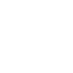 telephone